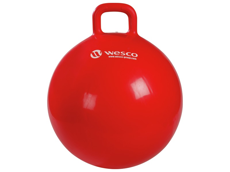 Ballon sauteur shop