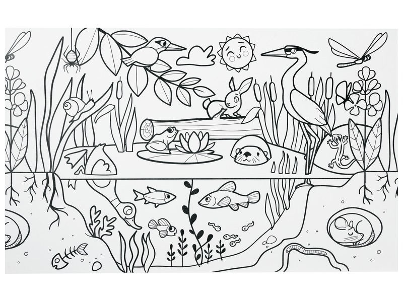 Rouleau fresque à colorier thème de l'écosystème - prix pas cher chez iOBURO