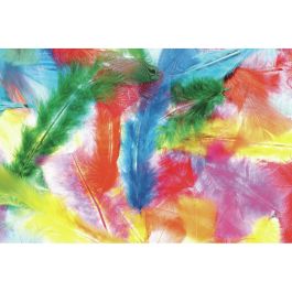 PLUMES DUVET