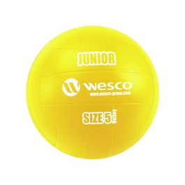 BALLON DE VOLLEY-BALL Junior Taille 5
