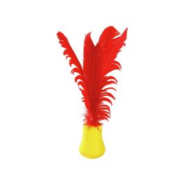 INDIACA SOFT