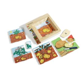 PUZZLES CYCLES DE VIE Les légumes La pomme de terre