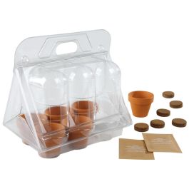 MINI SERRE 6 POTS Tomates, tomate cerise et tomate poire jaune