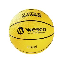 BASKETBALL Training Indoor-Outdoor Größe 5