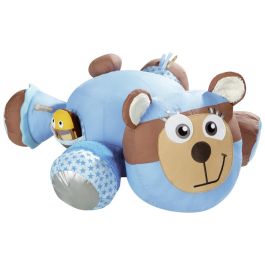 PELUCHE D'ACTIVITÉS ACTINIMOS Risottos