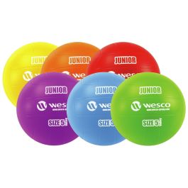 MAXI LOT BALLONS DE VOLLEY-BALL Junior Taille 5