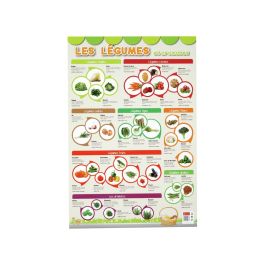 POSTER ÉDUCATIF Les légumes et aromates