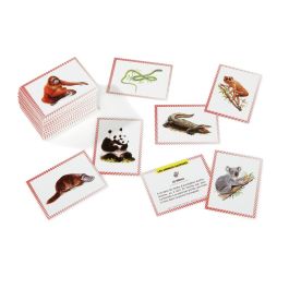 100 BONS POINTS Animaux sauvages