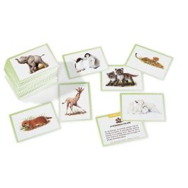 100 BONS POINTS Bébés animaux