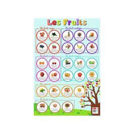 POSTER ÉDUCATIF Les fruits