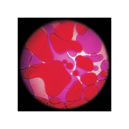 DISQUES POUR PROJECTEUR MATHMOS LIQUIDE VIOLET/ROUGE