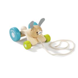 LES ANIMAUX À TIRER Lapin