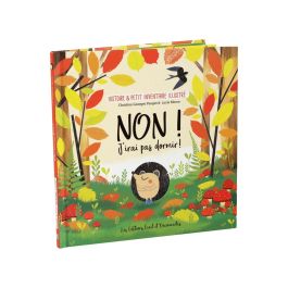 HISTOIRE ET PETIT INVENTAIRE ILLUSTRÉ Non ! J'irai pas dormir