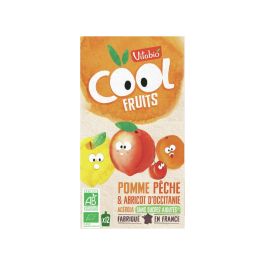GOURDE DE FRUIT BIO Pomme, pêche et abricot 12 x 90 g