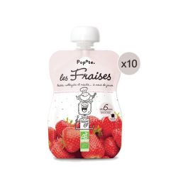 MAXI LOT GOURDES MONOSAVEUR BIO - Fraise 10 x 120 g