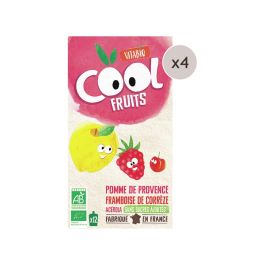 MAXI LOT GOURDES DE FRUIT BIO Pomme, framboise et acérola - 48 x 90 g