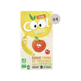 MAXI LOT GOURDES DE FRUIT BIO Pomme, banane - 48 x 90 g