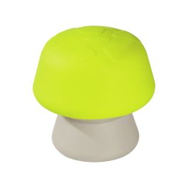 CHAMPIGNON D'ÉQUILIBRE