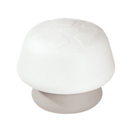 CHAMPIGNON LUMINEUX