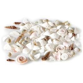 SEQUINS FANTAISIE Coquillages