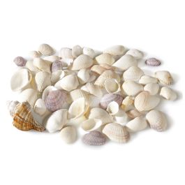 COQUILLAGES ASSORTIS
