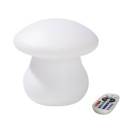 PETIT CHAMPIGNON LUMINEUX