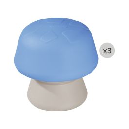 CHAMPIGNONS D'ÉQUILIBRE
