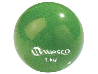 Progressive WEIGHTED BALLS 1 kg