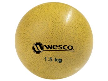 Progressive WEIGHTED BALLS 1.5 kg