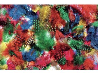 PLUMES DUVET TACHETÉES