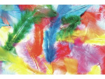 PLUMES DUVET