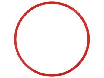 CERCEAU PLAT Ø 60 cm