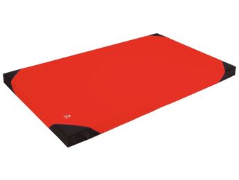 TAPIS DE RÉCEPTION L: 120 cm - l: 200 cm - ép: 10 cm