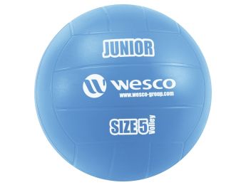 BALLON DE VOLLEY-BALL Junior Taille 5