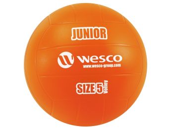 BALLON DE VOLLEY-BALL Junior Taille 5