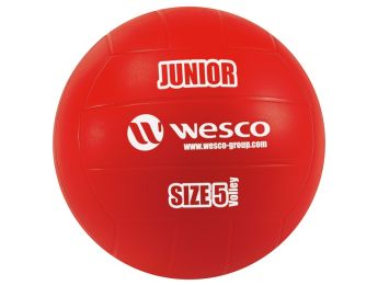 BALLON DE VOLLEY-BALL Junior Taille 5