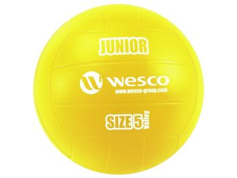 BALLON DE VOLLEY-BALL Junior Taille 5