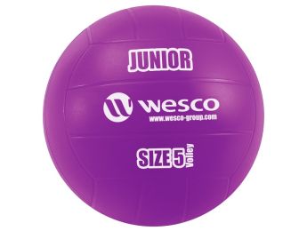 BALLON DE VOLLEY-BALL Junior Taille 5