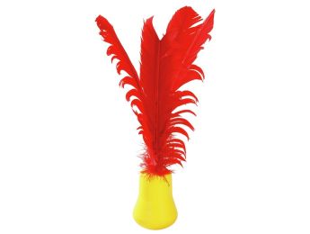 INDIACA SOFT