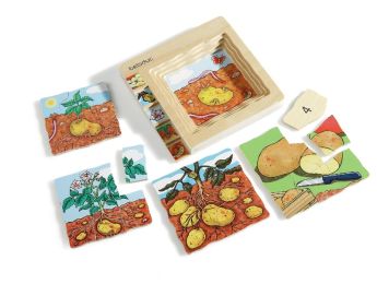 LIFE CYCLE PUZZLES Vegetables Potato