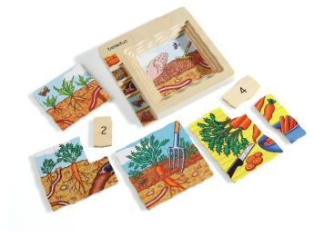 LIFE CYCLE PUZZLES Vegetables Carrot