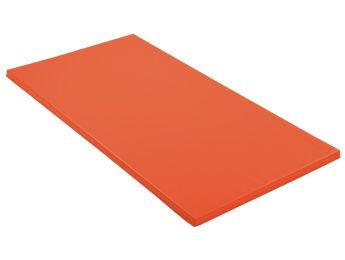 TAPIS D'ÉVOLUTION L: 200 cm - l: 100 cm - ép: 4 cm