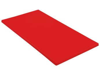 TAPIS D'ÉVOLUTION L: 200 cm - l: 100 cm - ép: 4 cm