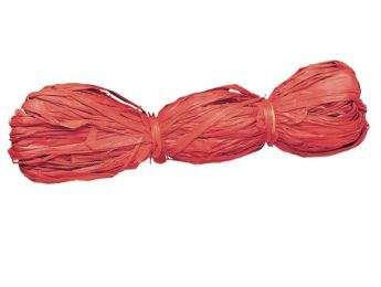 RAPHIA VÉGÉTAL Coloré - 50 g