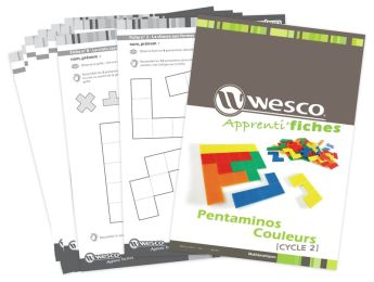APPRENTI' FICHES Pentaminos
