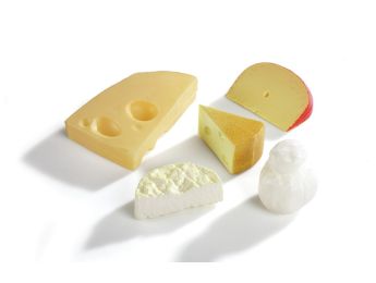 LOT DE 5 FROMAGES