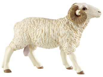 FIGURA CARNEIRO 