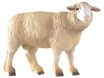 STATUINA PECORA MERINO 