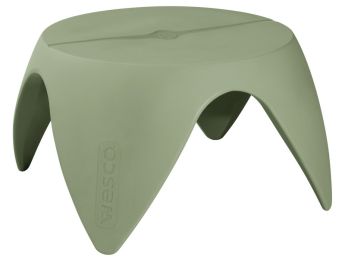 TABLE Flora