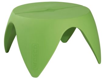 TABLE Flora